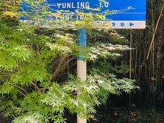 -铁山坪森林公园