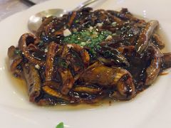 清炒响油鳝丝-新镇江酒家(南京西路店)