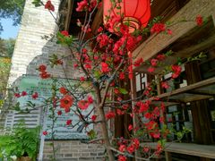 -乌山风景区