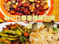 -柴窝堡22号辣子鸡·传承新疆菜