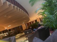 -北京望京凯悦酒店The Lounge大堂酒廊