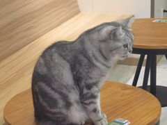 -翠花老菜饺子馆(七宝店)