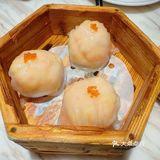 今天的暖心早茶時間 陶陶居