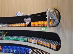 -涨巢·潮玩水疗局