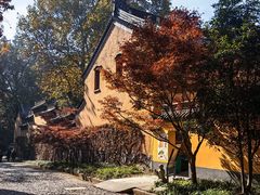 -灵谷景区