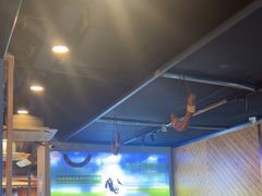 -虾乐园龙虾·夜宵(松江店)