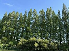 -桃花岛公园