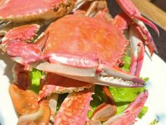 -鸿宇海鲜烧烤(红海新区店)