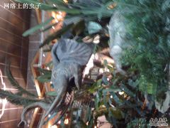 IMG_0274-绿色时代大酒店