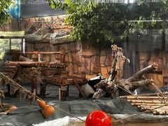 -泉州海丝野生动物世界