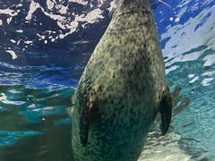 -上海海洋水族馆