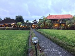 -Bebek Joni Restaurant