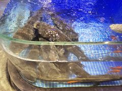 -味钱塘·钱塘浙宴(宋城之江银泰店)