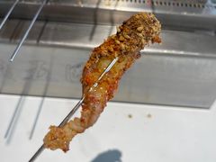 -邢氏老太太烤串(北兴街店)