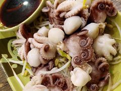 芥末白灼八爪鱼-贞姨美食·老字号海鲜大排档