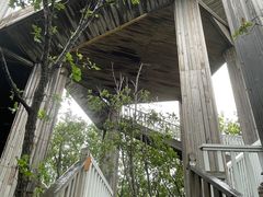 -帽儿山国家森林公园