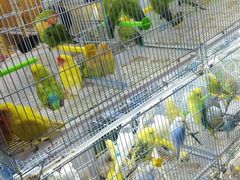 -三旗百汇商品城