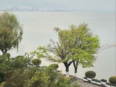 -野菌皇海景野生菌火锅(滨海大道店)