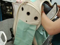 -宠颐生斯嘉宠物医院·急重症·心内科(谷阳北路分院)