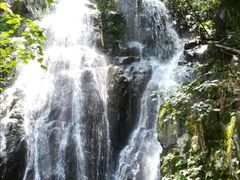 -藏龙百瀑风景区