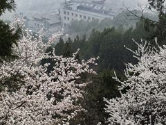 -北京凤凰岭