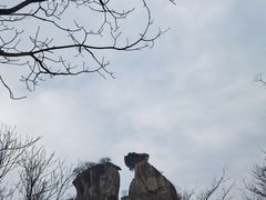 -秦岭终南山世界地质公园翠华山景区