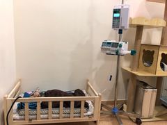 -瑞派申生动物医院·24H夜诊·国际动物医疗中心·骨外科(吴中路店)