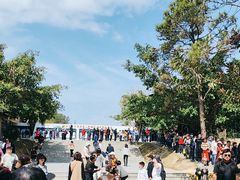 -广东惠东海龟国家级自然保护区