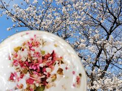 -爷爷不泡茶NOYEYENOTEA(武汉佰港城创始店)
