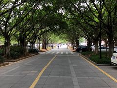 -厦门大学(思明校区)