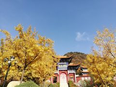 -遵化市禅林寺古银杏风景园