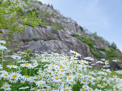 -白马涧龙池景区