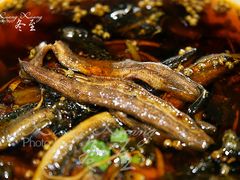 -听香·678茶铺(猛追湾店)