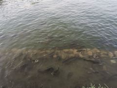 -东湖公园