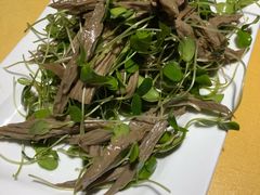 黑腐竹香椿苗-素虎小呆鸟(西二旗店)