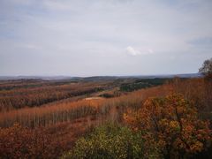 -塞罕坝国家级自然保护区