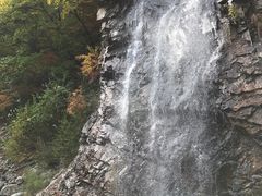 -龙道沟景区