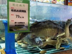 -老阿爸鲜鱼土菜(园区永旺店)