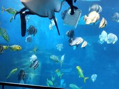 -太平洋海底世界