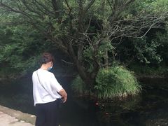 -木兰云雾山