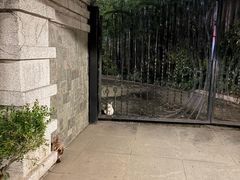 -张家港金凤凰度假村温泉