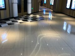 -百丽宫影城(CGS激光苏宁广场店)
