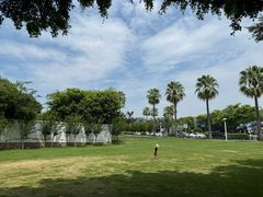 -白城沙滩