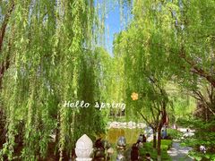 -西安青龙寺遗址景区