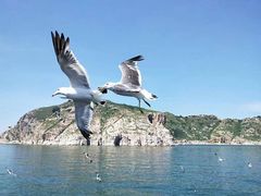 -长岛南北长山旅游景区