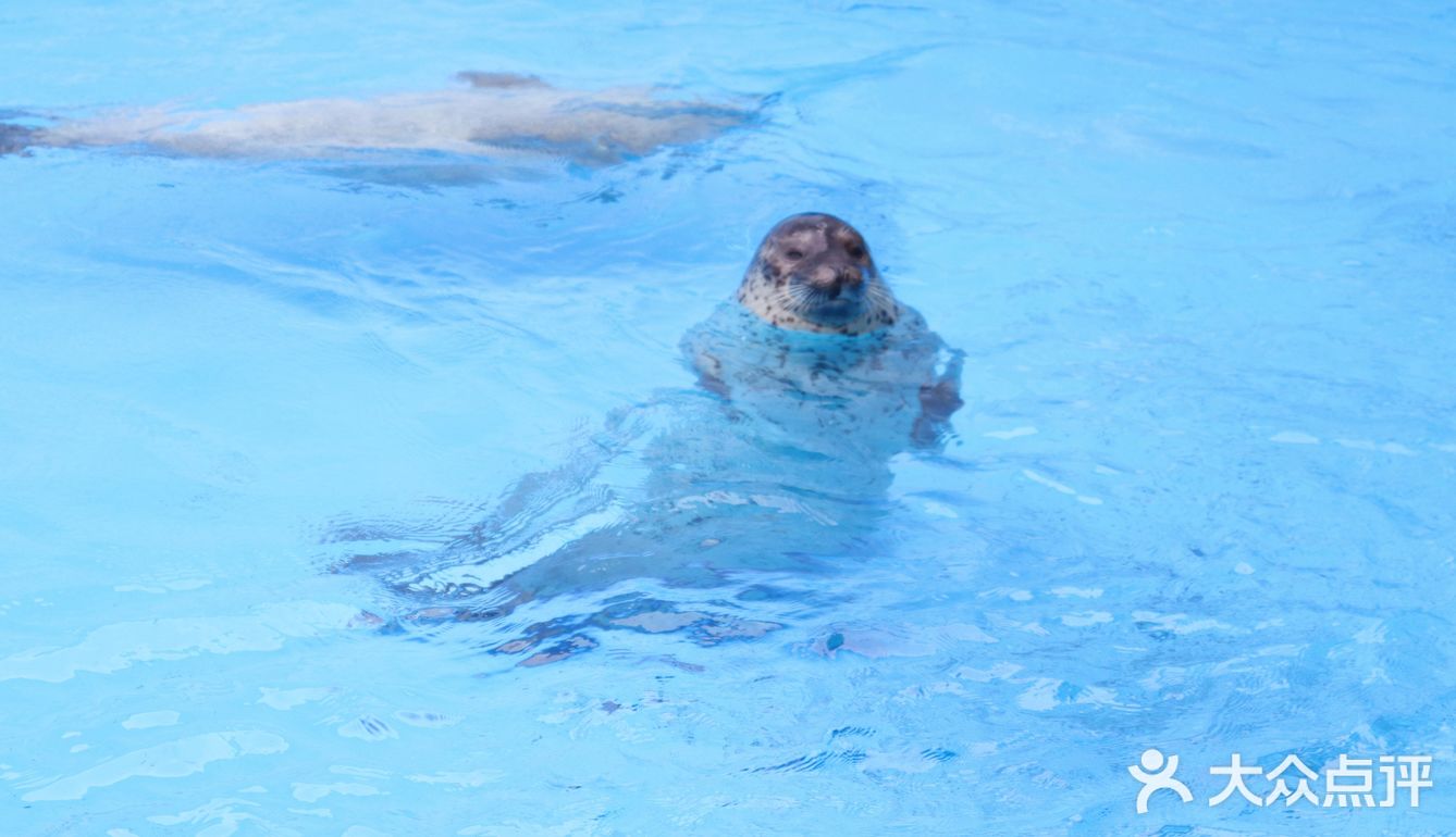 上海海昌海洋公园打卡