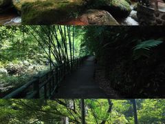 -赤水丹霞旅游区·佛光岩