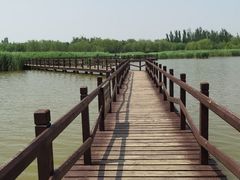 -西青郊野公园