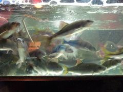 20120224_180902-秀水人家