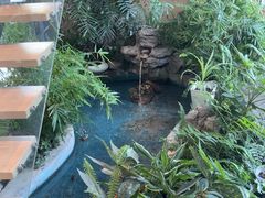 -绿雪芽白茶(浙大华家池校区凯旋路店)